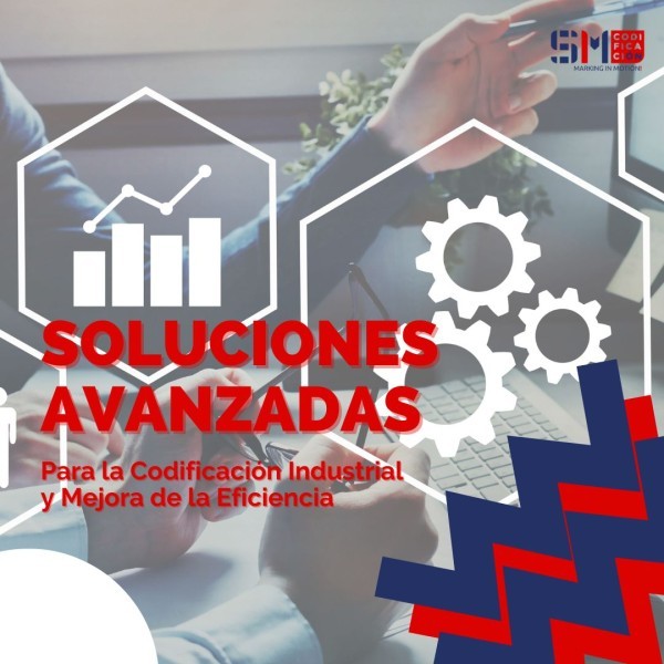 Soluciones Avanzadas para la Codificación Industrial y Mejora de la Eficiencia